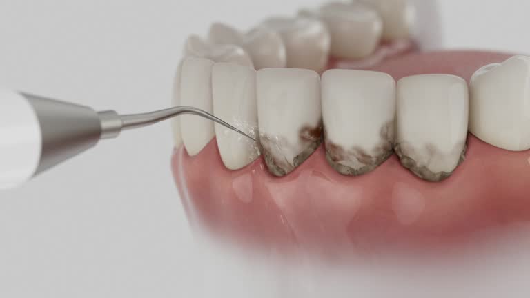 Reliable Dental contractor in Washington, GA by Dentist Open Now